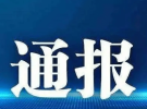 大埔一原局長被公開通報
