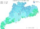 清明假期大埔易堵路段