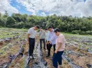 大埔村民：耕地交企业托管，耕田施肥收割不