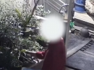 這年頭花都要偷了嗎？